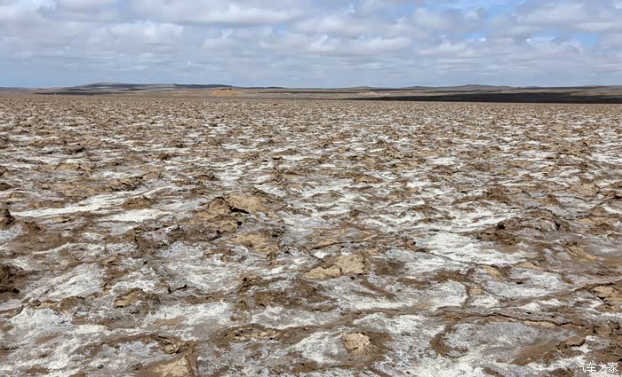 罗布泊湖底的盐壳
