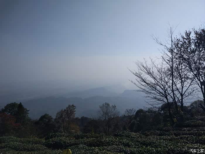 周末本地游—蒙顶山登高
