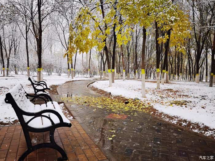 北京念坛公园今冬的第一场雪如约而至为寂静萧瑟的冬天增添诗意