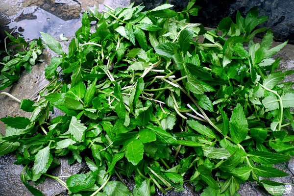 回归原生态-不一样的松平沟(岩窝寨)