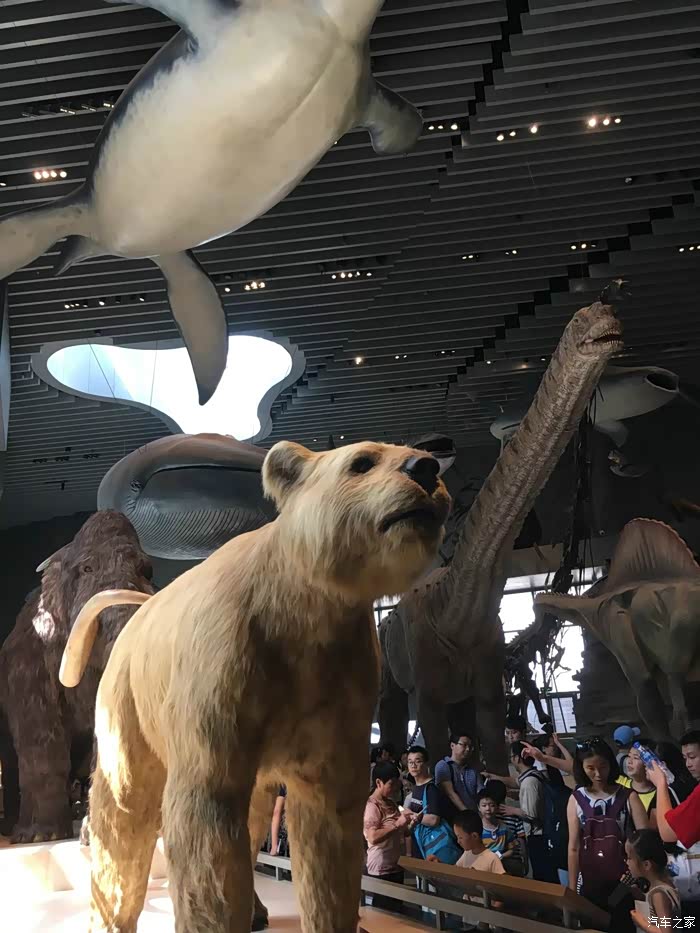 被迫无奈上海之行