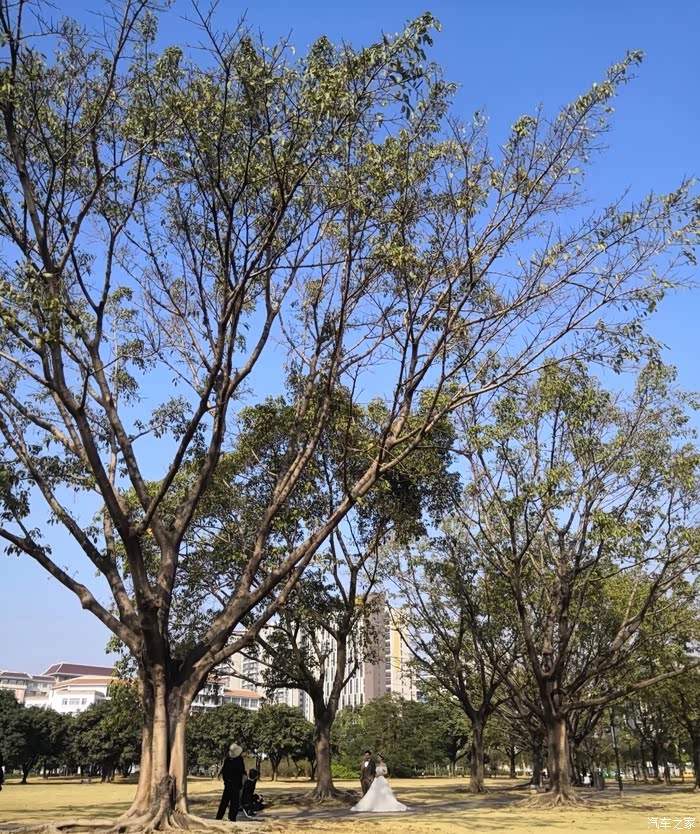 18:06:12 【万物复苏送福利】小鹏车主带你游陈白沙广场 白沙公园位于