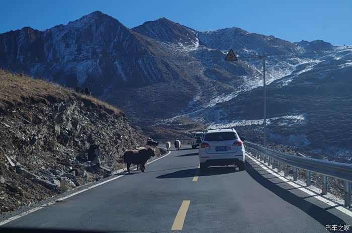 哈弗h2蓉城车友会造访四姑娘翻越夹金山自驾游手机党慎重
