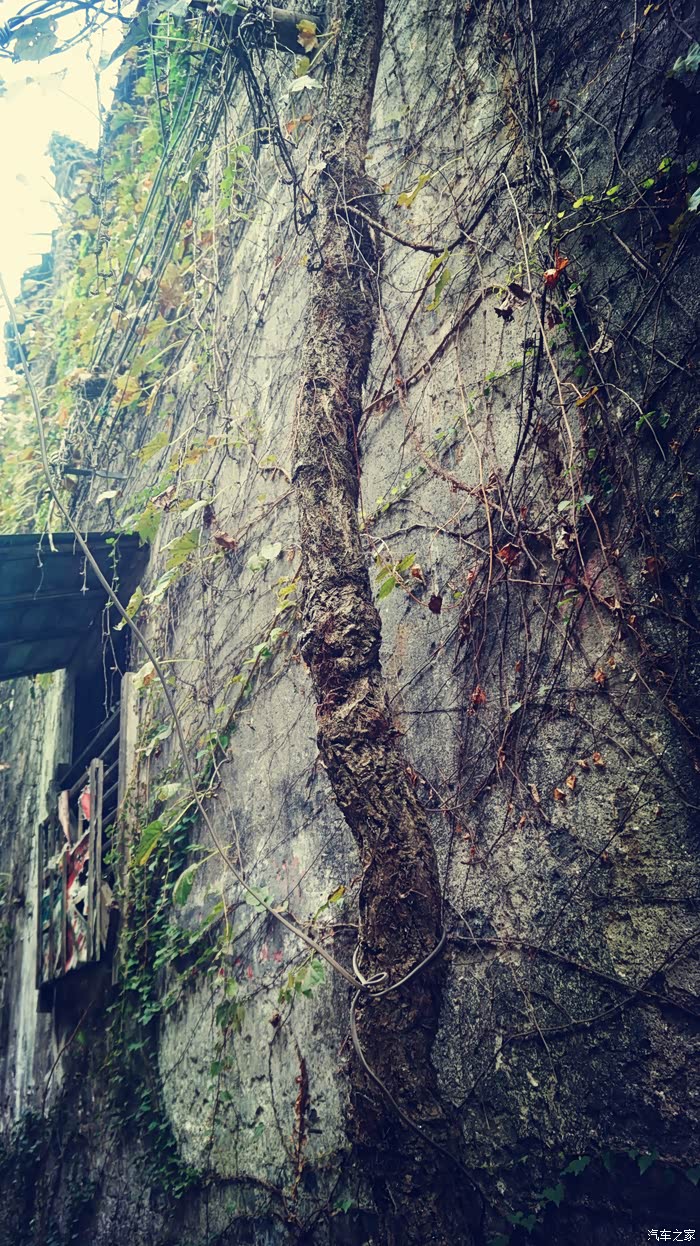 memory一座老城一段回忆