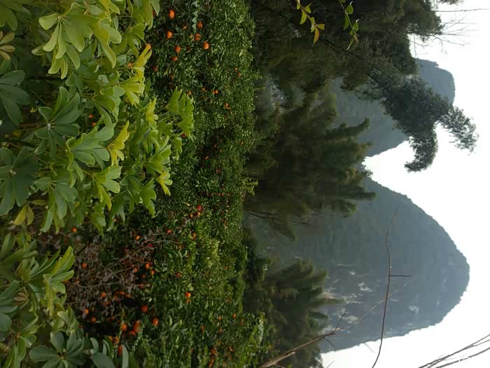 雪北香南全家太原自驾海南6500公里过春节