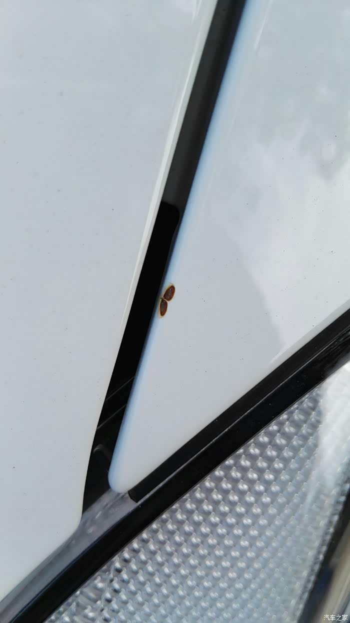 今天发现多了两个黑点像被烧了一样