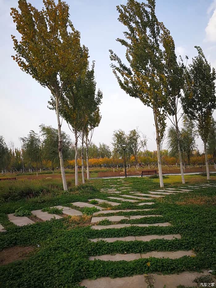 沈北七星湿地公园