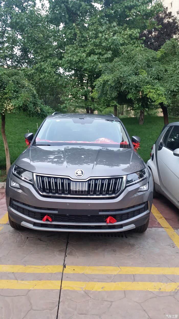 科迪亚克颜色纠结中