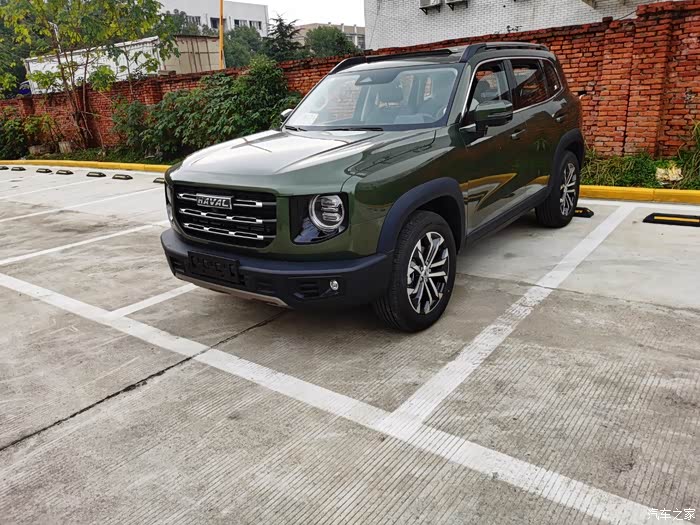 【图】边牧,军绿,到底好不好看,没看到现车,好纠结～_哈弗大狗论坛