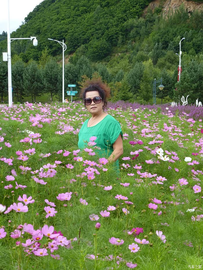 看见花就忘了烤鱼的妈妈!