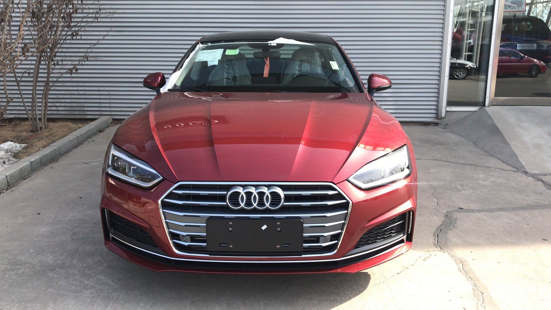 【图】a5,19款,有红色的嘛?_奥迪a5论坛_汽车之家论坛