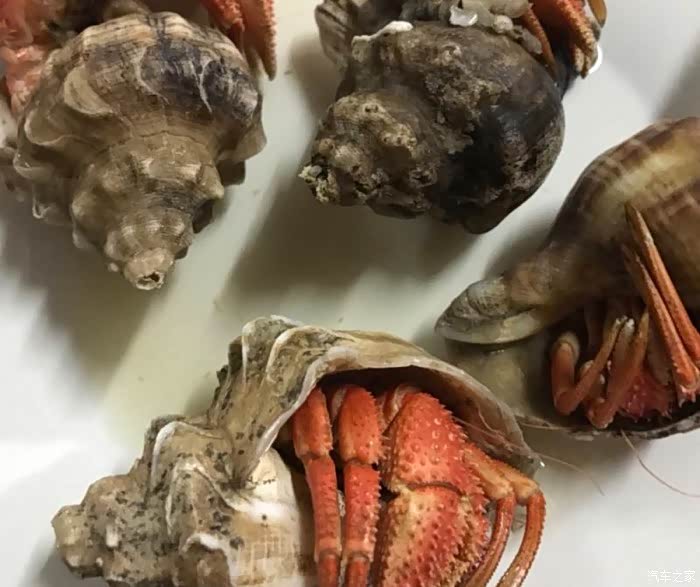 自驾游,看海吃海鲜.