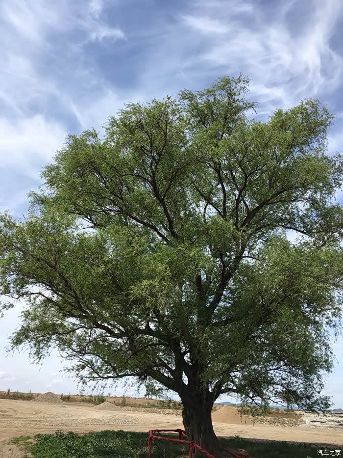 吉林市土城子到乌拉街