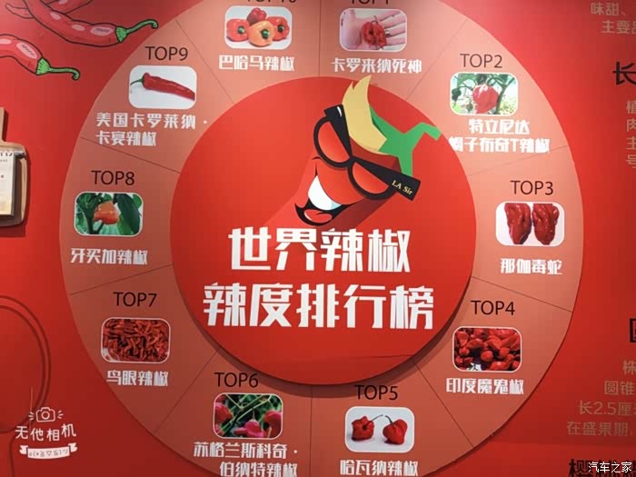世界辣椒辣度排行榜,我知道的印度魔鬼椒只能排到第四.