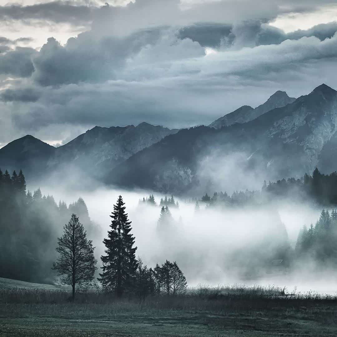 迷雾森林,犹如仙境.