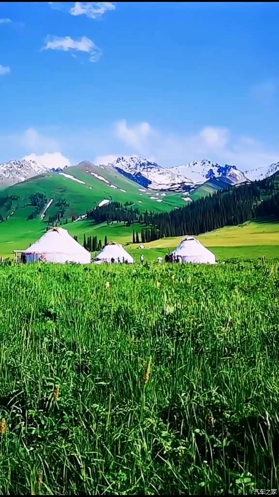 那拉提草原的美景