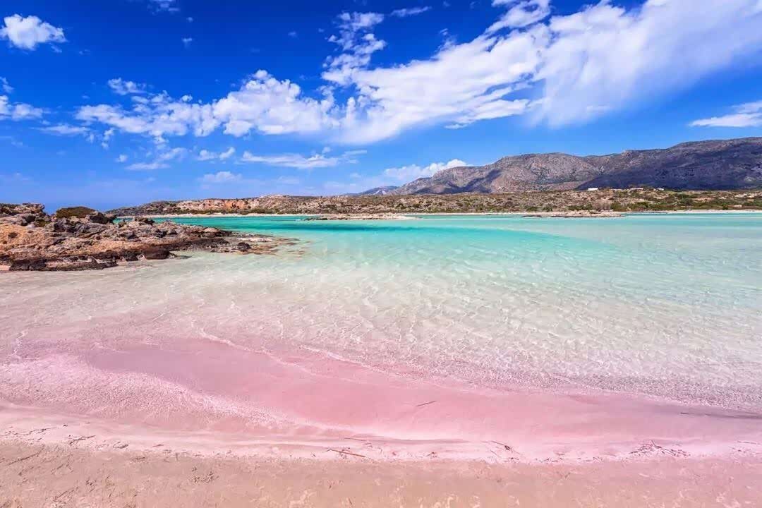 世界上这些粉色沙滩,多了几分梦幻和浪漫