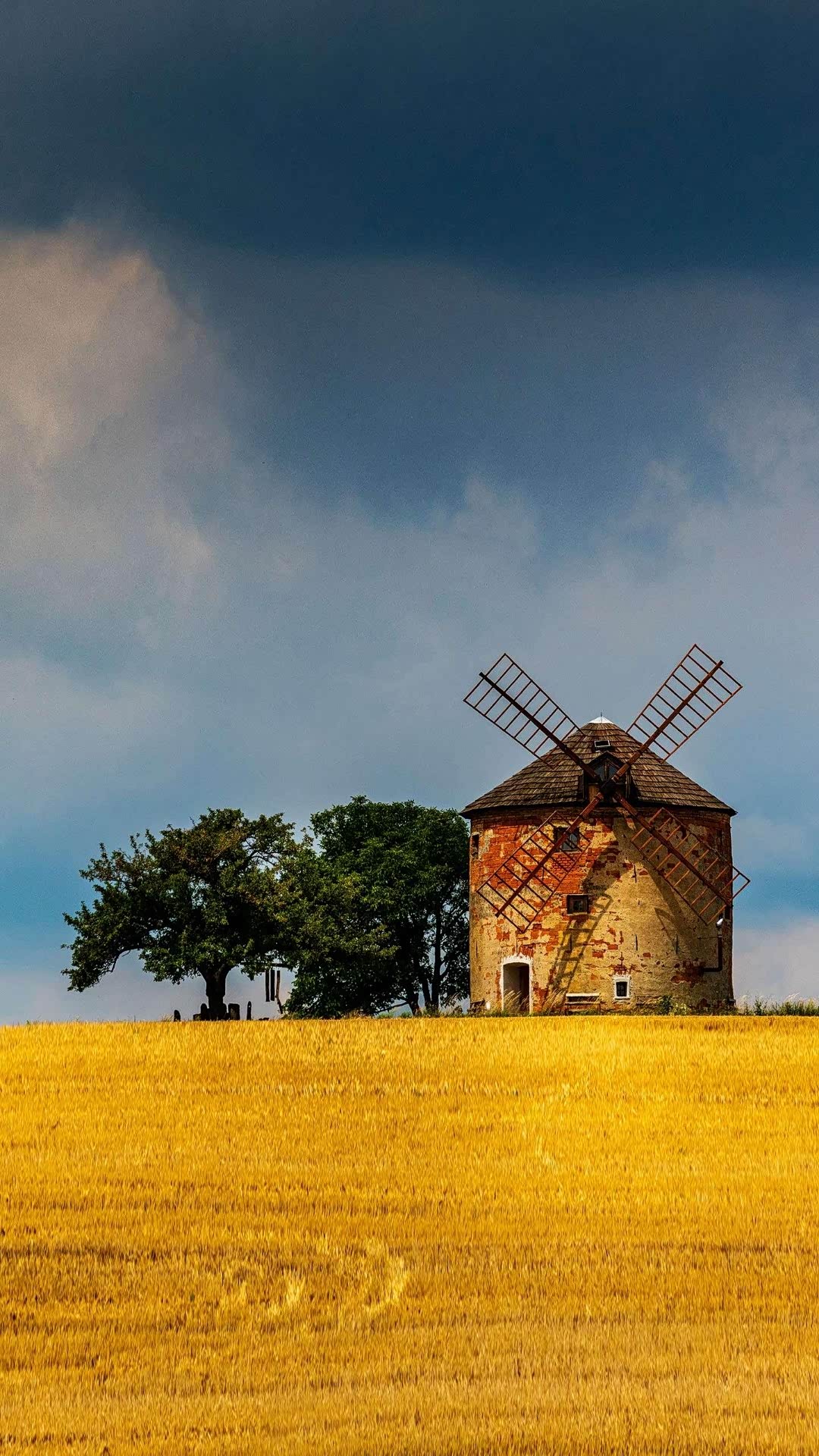 手机屏保美照欣赏(转发)