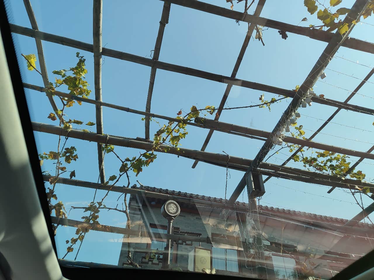 【图】几乎全玻璃的车顶,让车内光照非常充足_几何a论坛_汽车之家论坛