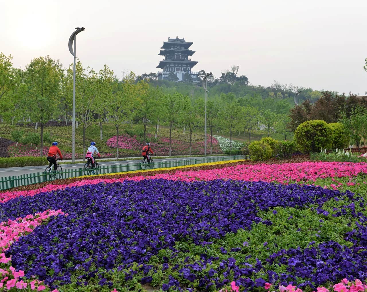 那时南湖就是一个普通公园,老百姓叫它"大南湖"