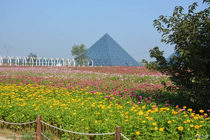 敢发就敢送潍水田园1