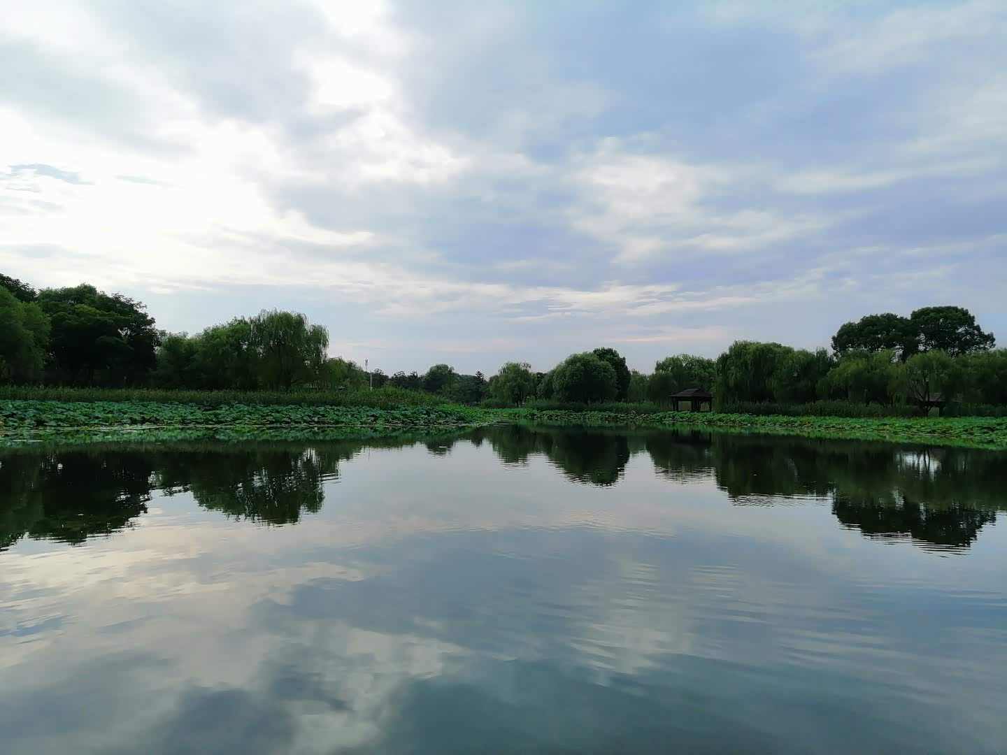 来到莲池湖公园,赏赏荷花,划划小船,湖风徐徐吹来,像在画里!