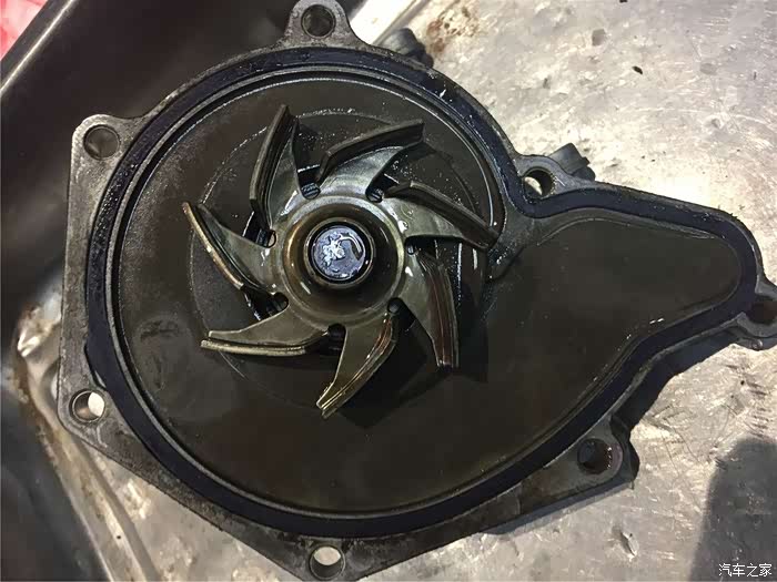 超级罕见的银色奥迪a6l更换水泵解决发动机高温问题