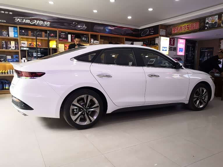 白色菲斯塔小改日记