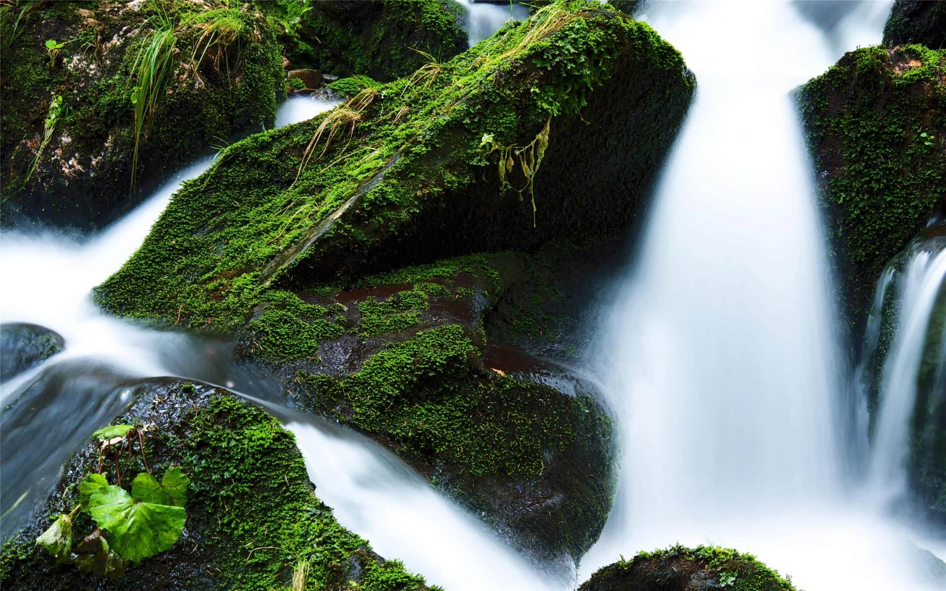 晨曦初照,而山像含羞的少女,若隐若现,日落西山,余光横照.