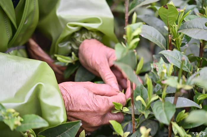 春分无风矮寨不矮之湘西苗祖圣山吕洞山探秘