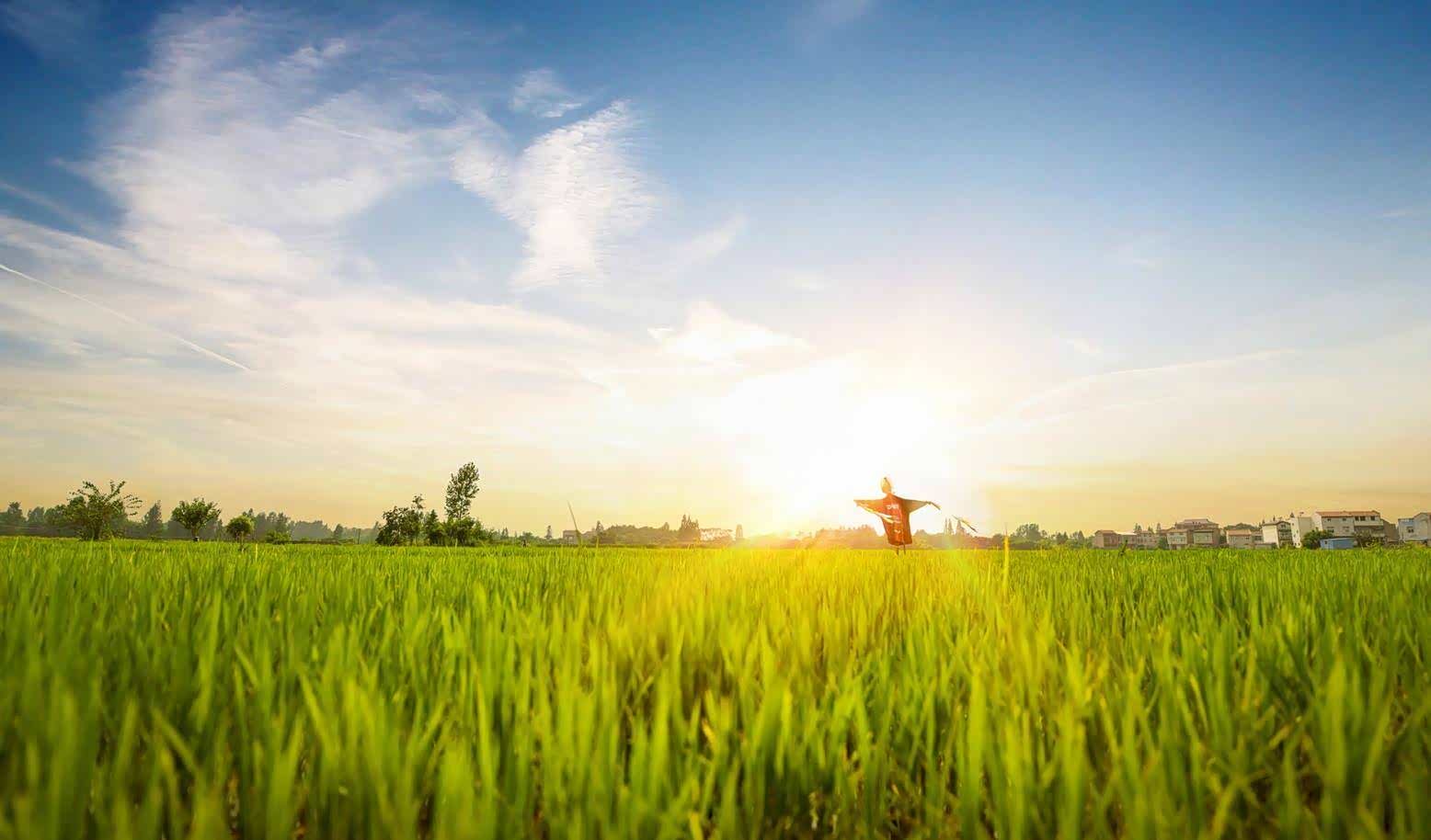 生态旅游,感受大自然,和大自然融为一体,感受自然的清风.