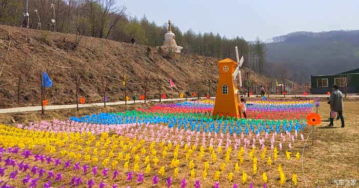 你好2021初春自驾风车节下