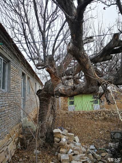 周末进山走走之大营盘村