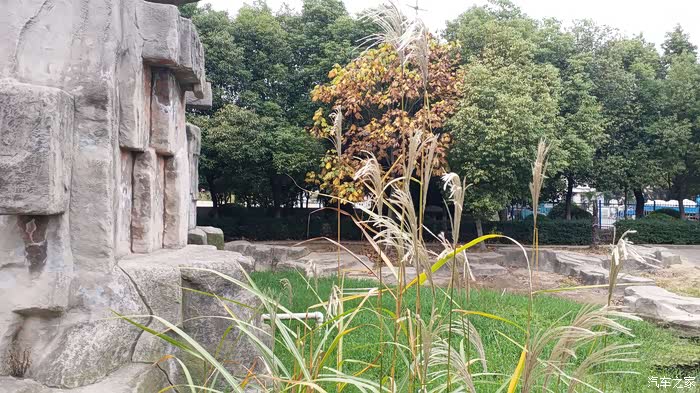 无锡长安suv联盟068驾75游览江阴文林公园