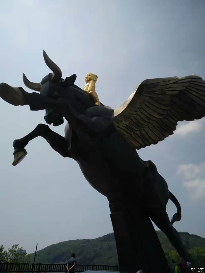 我也想骑上这头会飞的牛.