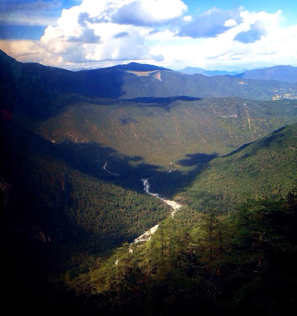 胜日寻芳泗水滨,无边光景一时新.