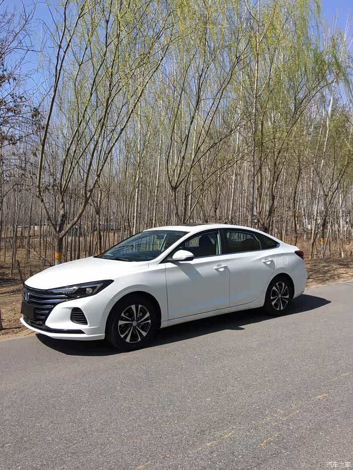 有颜值又有内涵长安逸动plus欢迎我的小安到家