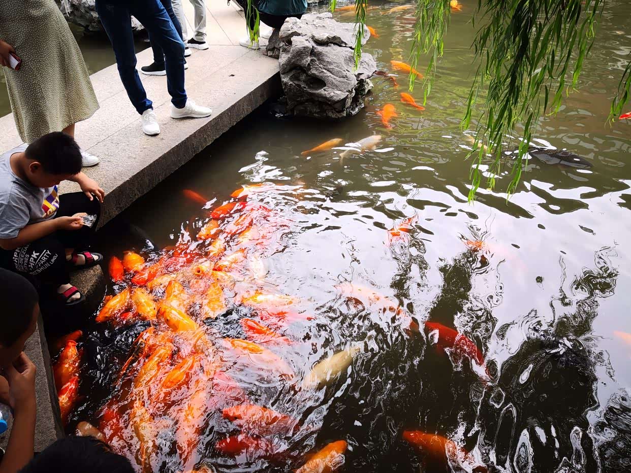 我很喜欢到处玩,这是今年夏天去的上海豫园游玩的照片.