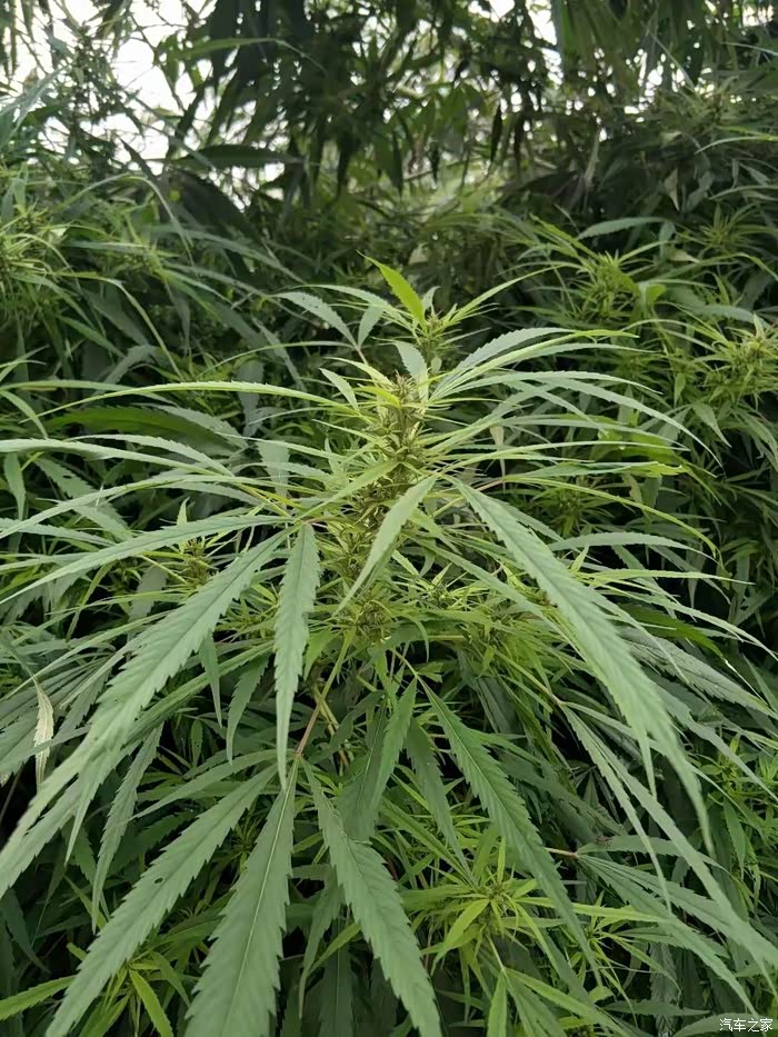 在这个季节远景带你回家看看