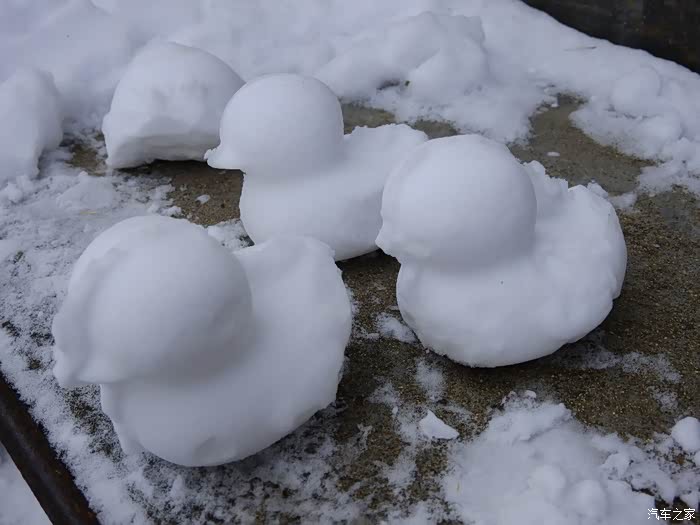 小朋友的作品雪鸭