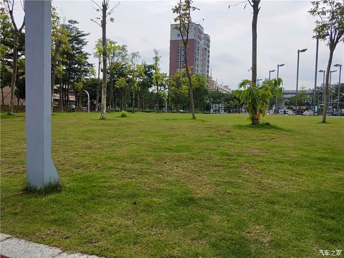 深圳长安车友会475风扇哥周末西田公园行