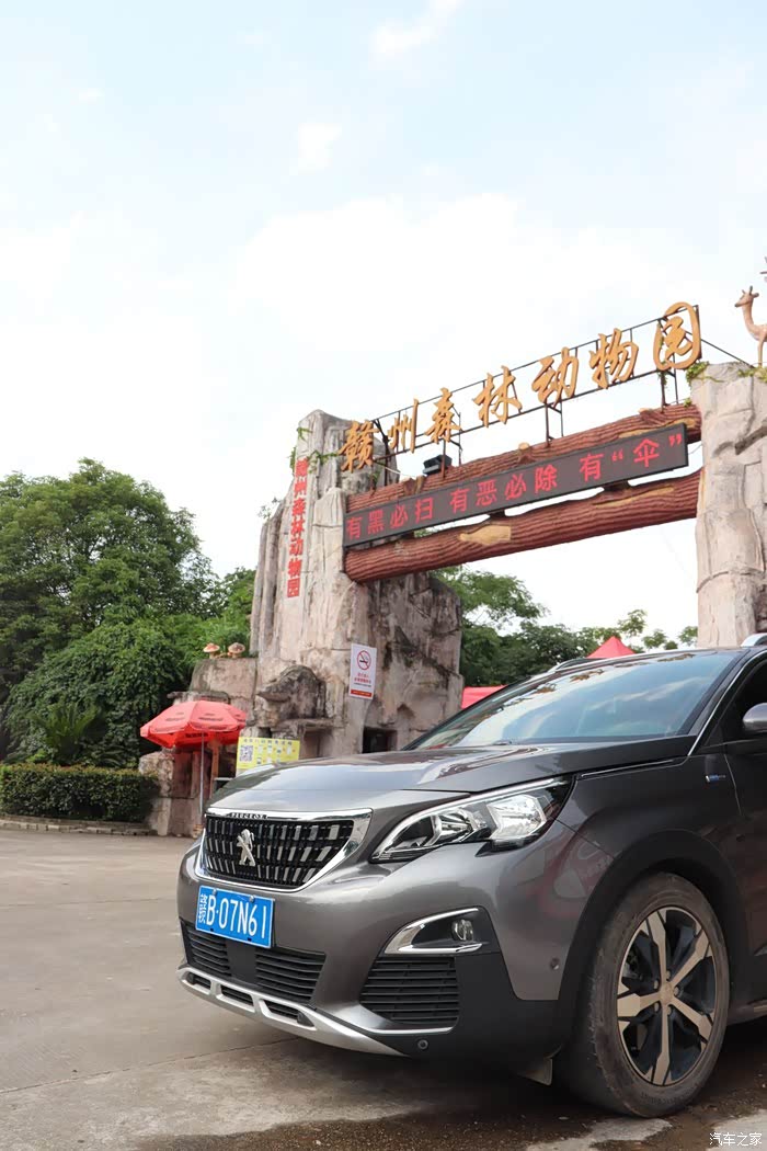 回味童趣走进儿时最爱的动物园里