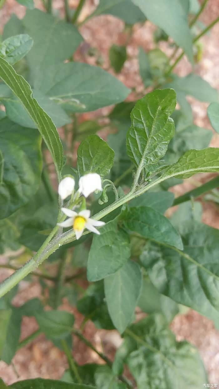 【游记】爱车gl与大浩湖的美丽邂逅