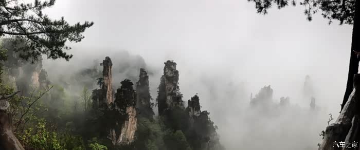 终年常绿而又名“吐绿沟”