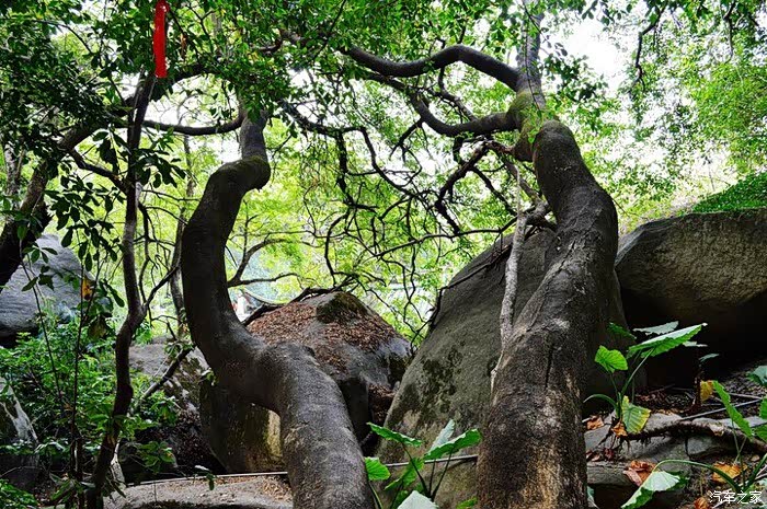 五老山的五老峰