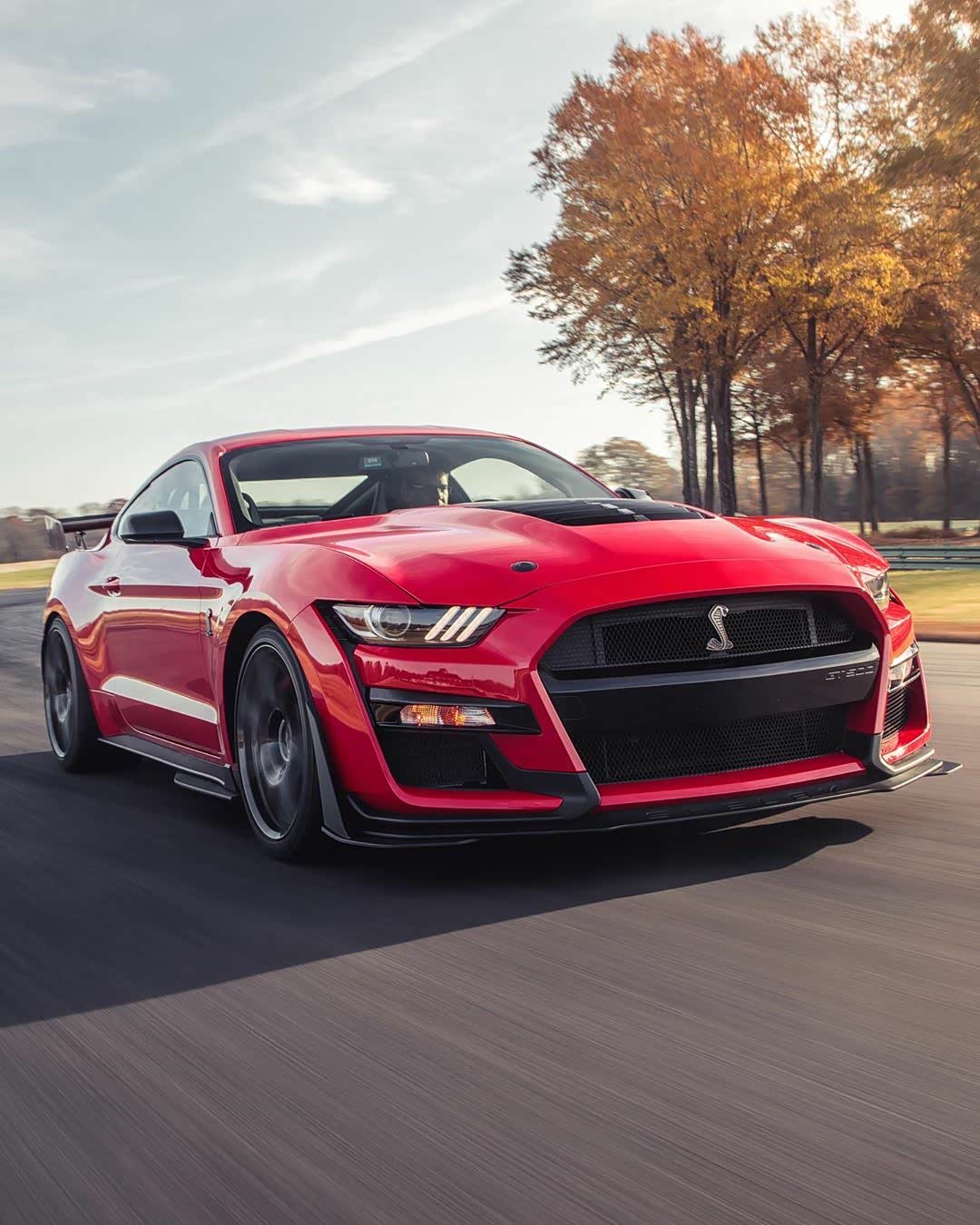 至今为止最强的shelby gt500,眼镜蛇的标这次变大了