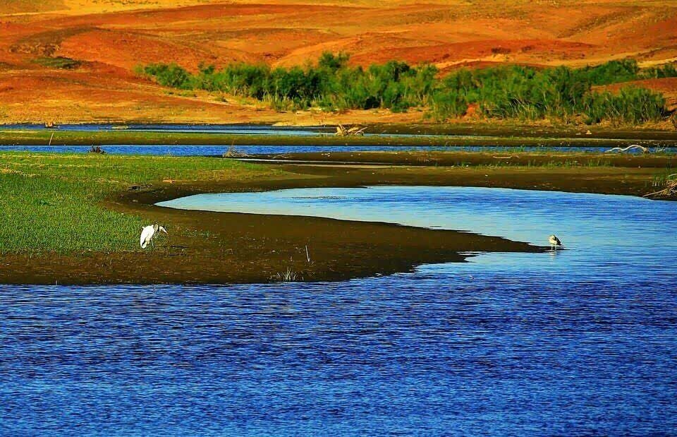 中国最大的内陆河 —— 塔里木河.