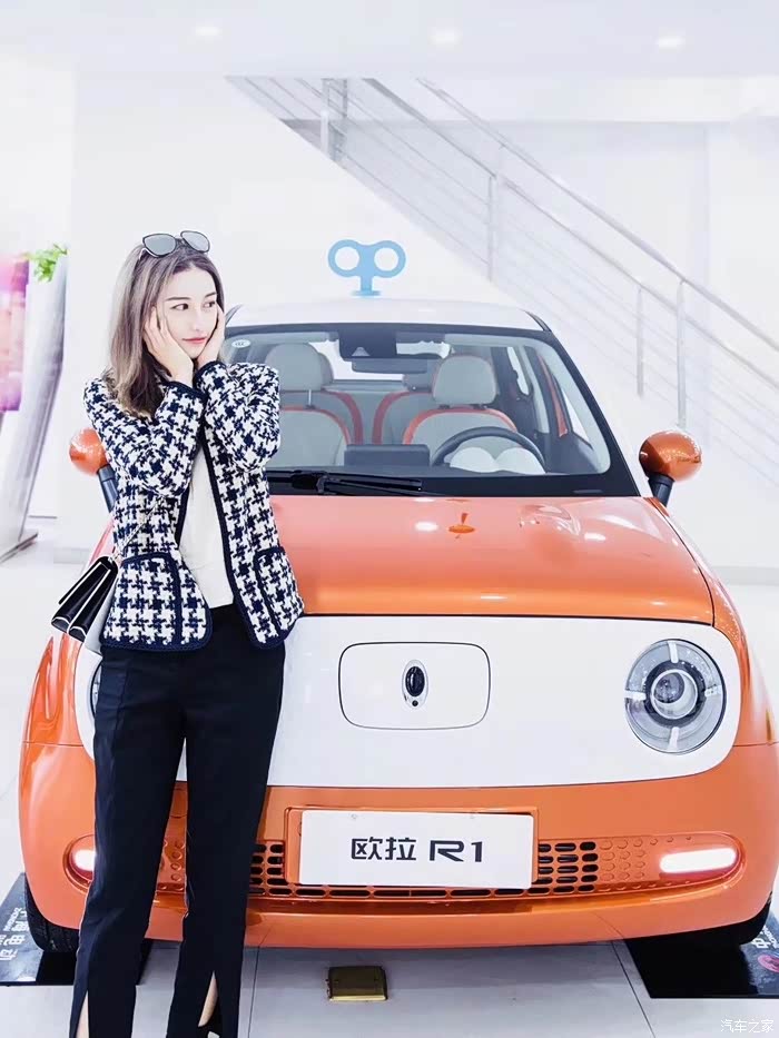 1 欧拉黑猫论坛 陆地小"萌宠"欧拉r1(女神版,亲子版)欧拉r1女神版