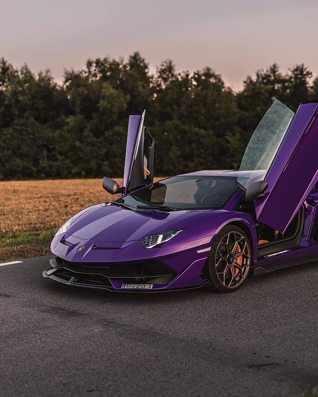 vega evx论坛_汽车之家论坛