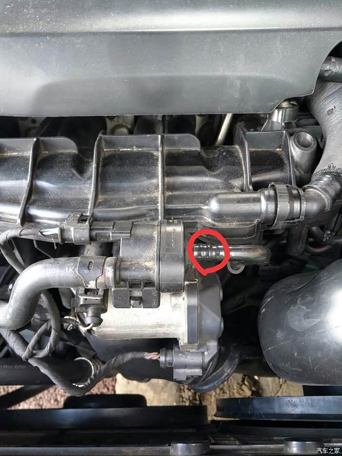 老昊锐的碳罐怎么拆